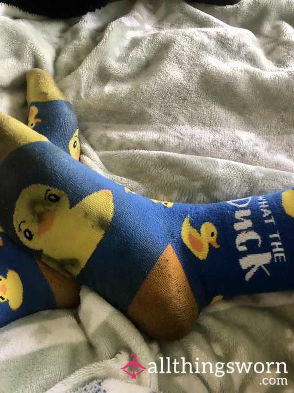 Smelly, Sweaty, Stained Duck Socks