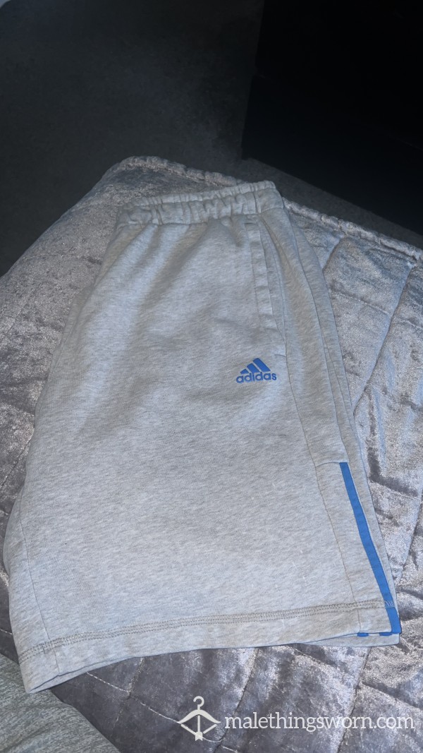 Adidas Sweat Shorts