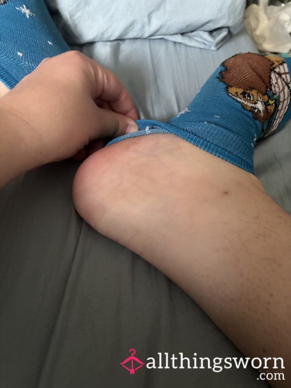 Baby Blue Lady And The Tramp Socks