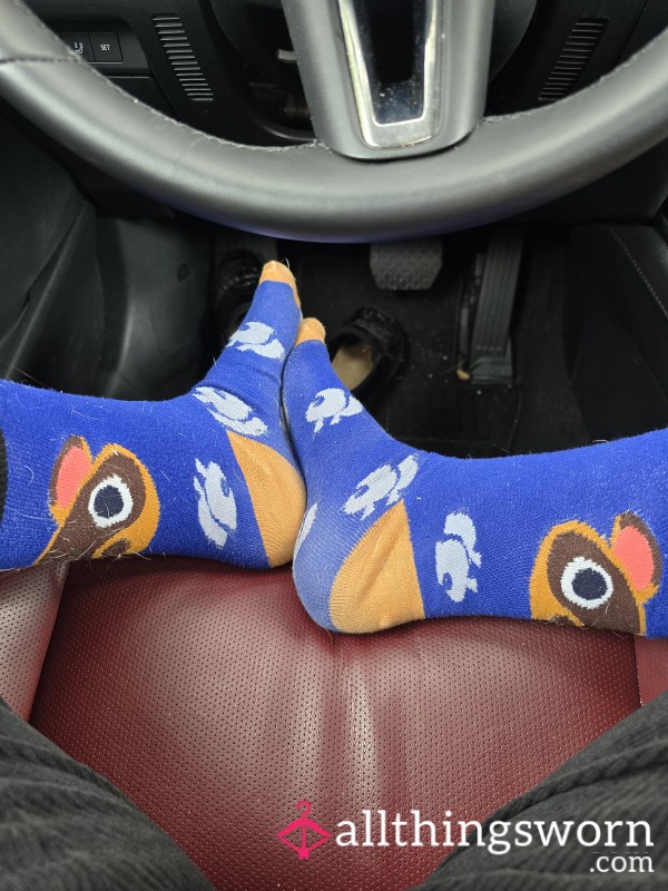 Blue And Brown Animal Crossing Socks