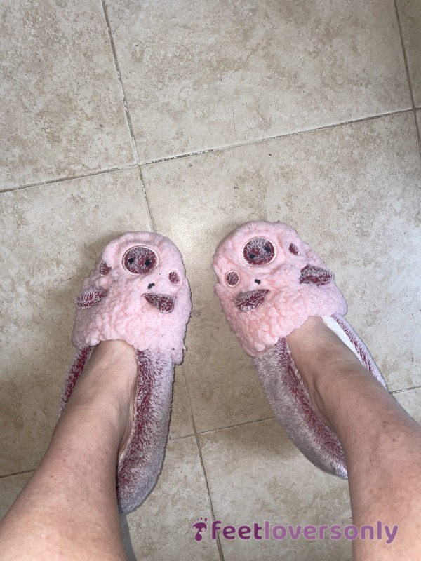 Cute Piggy Pig Slippers, Stinky, Smelly, Worn In