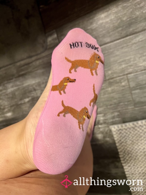 Dog Slip/No Show Socks