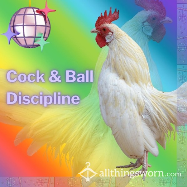 EXTREME C*ck AND BALL TORTURE