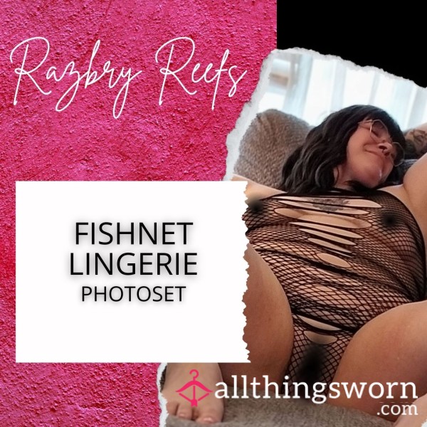 Fishnet Lingerie Photoset