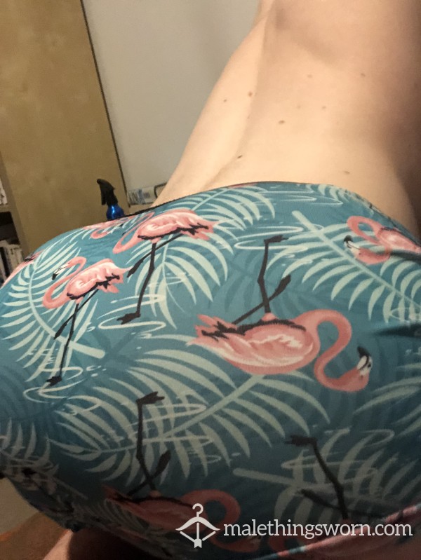 Flamingo-pattern Alpha Boxer-Briefs