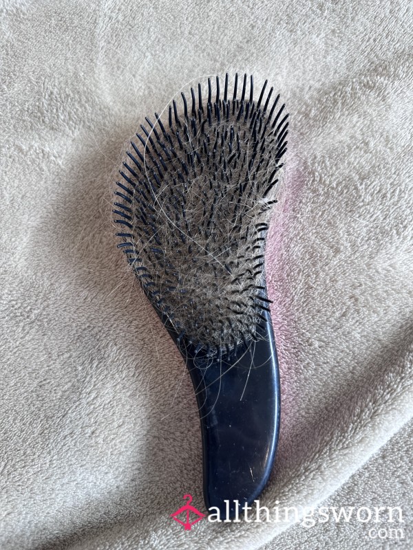 Hair Brush With Hair