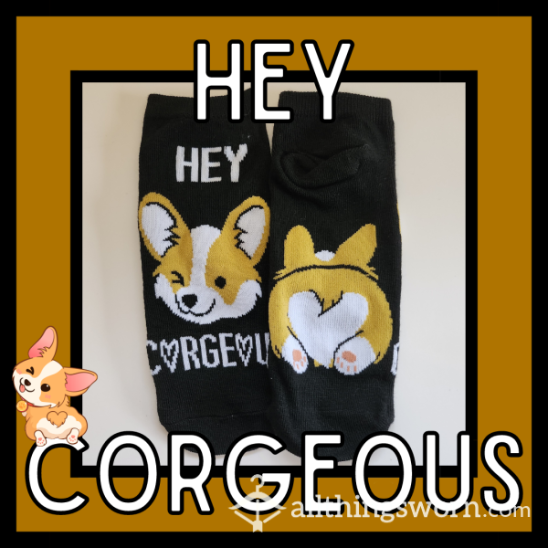 Hey Corgeous -- Cute Black Corgi Ankle Socks (1 Week Wear)