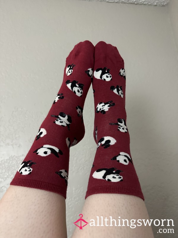 Long Smelly Panda Socks (very Stinky)