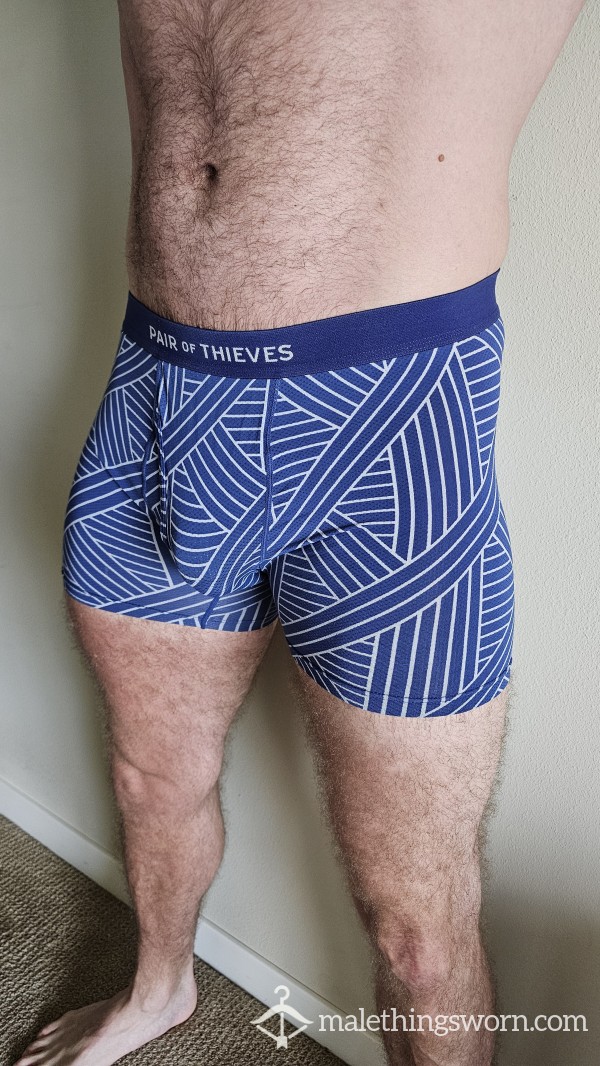 SOLD - Pair Of Thieves Boxer Briefs