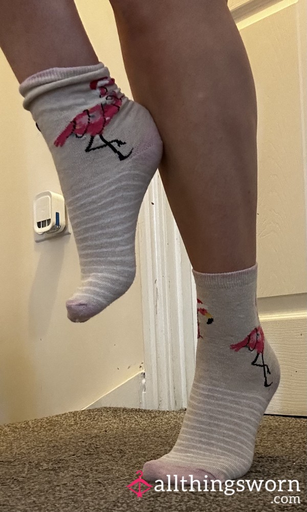 Pre Loved Flamingo Socks