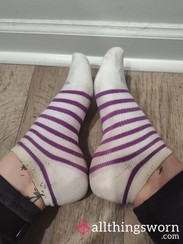 Purple Stripes Ankle