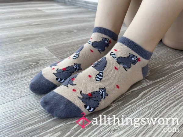 Socks With Raccoon 🦝