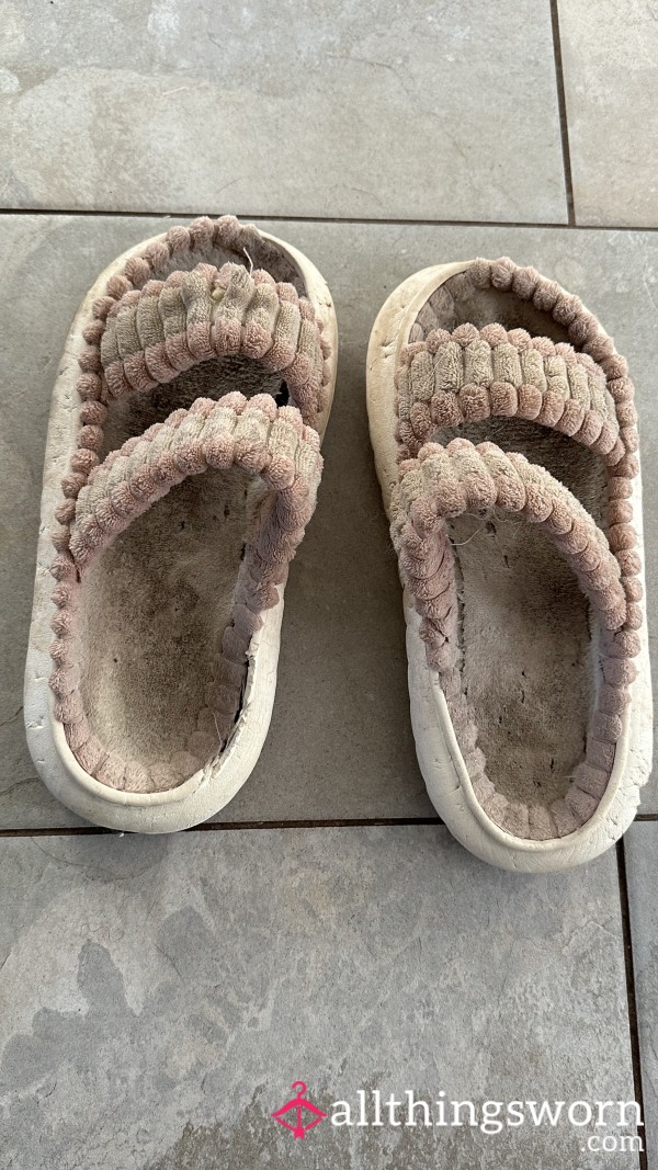 Very Stinky Worn Slippers