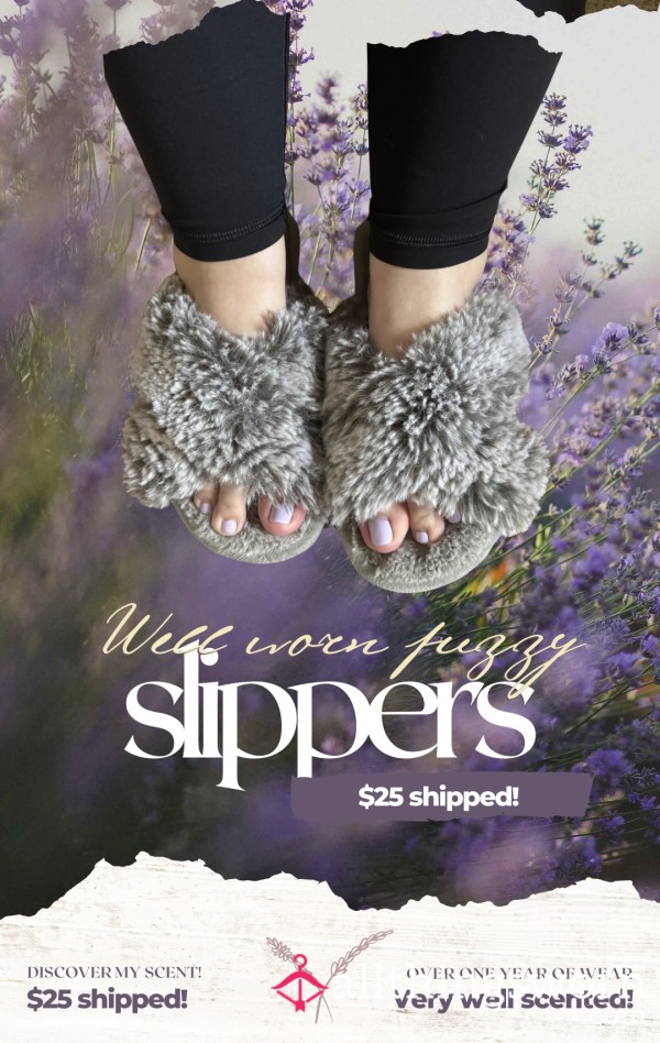 Well Worn Fuzzy Slippers