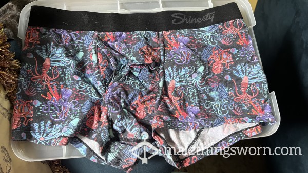 Well-worn Shinesty Squid Penis Boxer Briefs With Ball Hammock