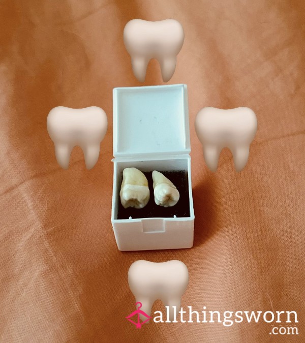 Wisdom Teeth. Weird And Exclusive Items For The Vial Collectors 🦷❤️