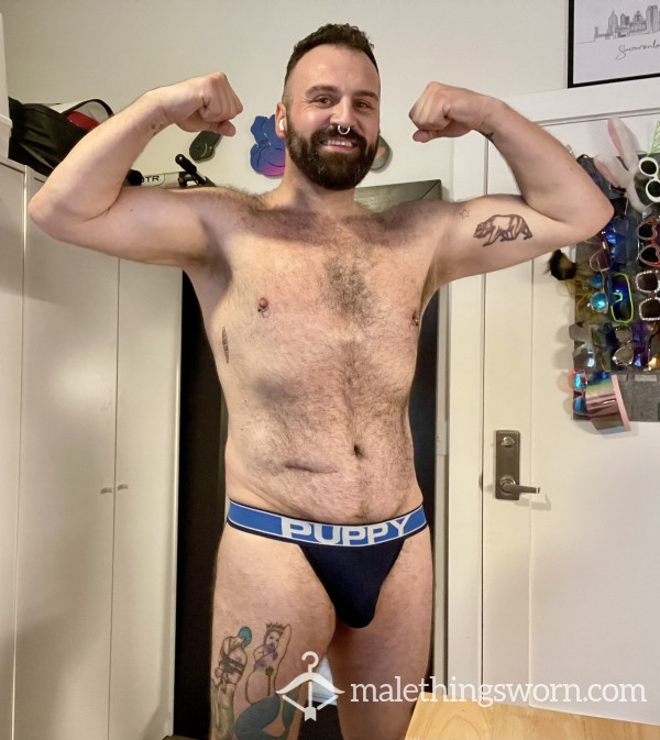 SFVersBear87