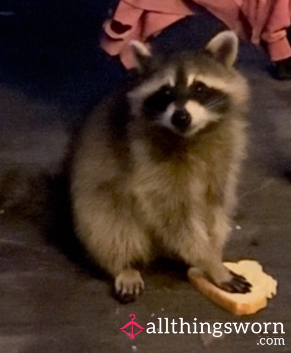 Trashpandamilf